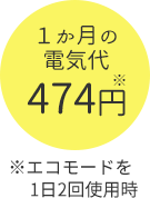 1ヵ月の電気代474円