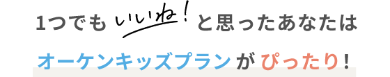 1つでもいいねと思ったあなたはオーケンキッズプランがぴったり！