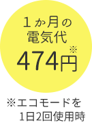 1ヵ月の電気代474円