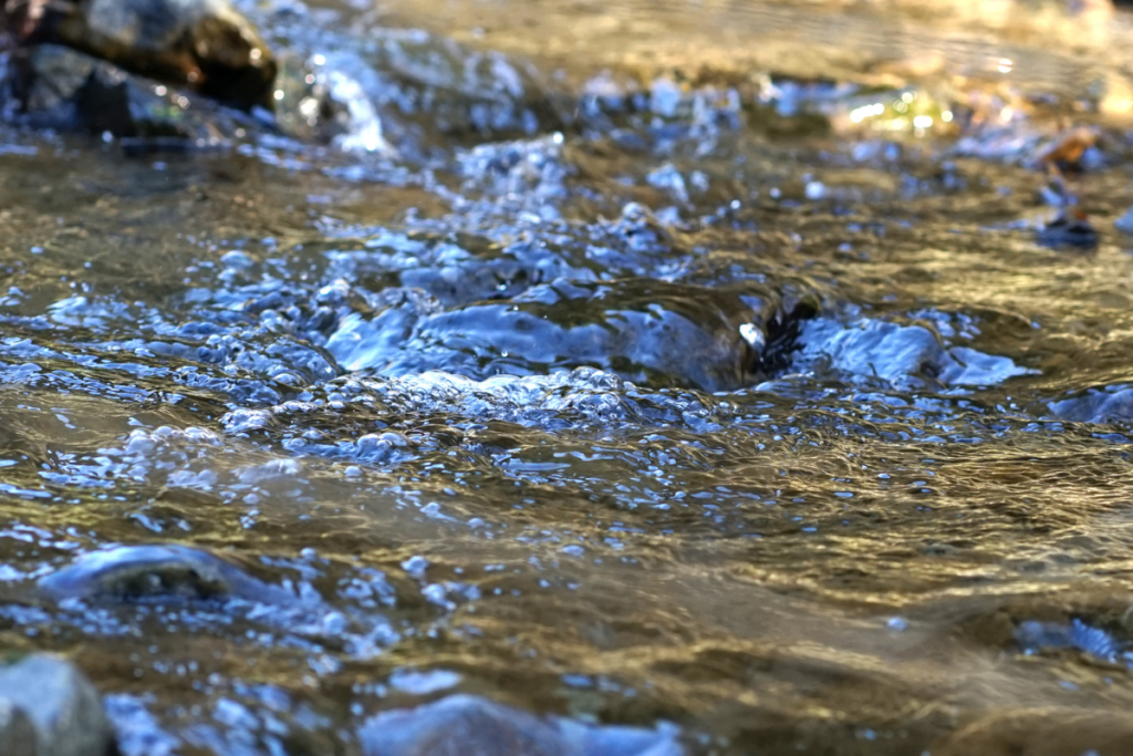 ポイントをおさえれば湧き水は飲める！