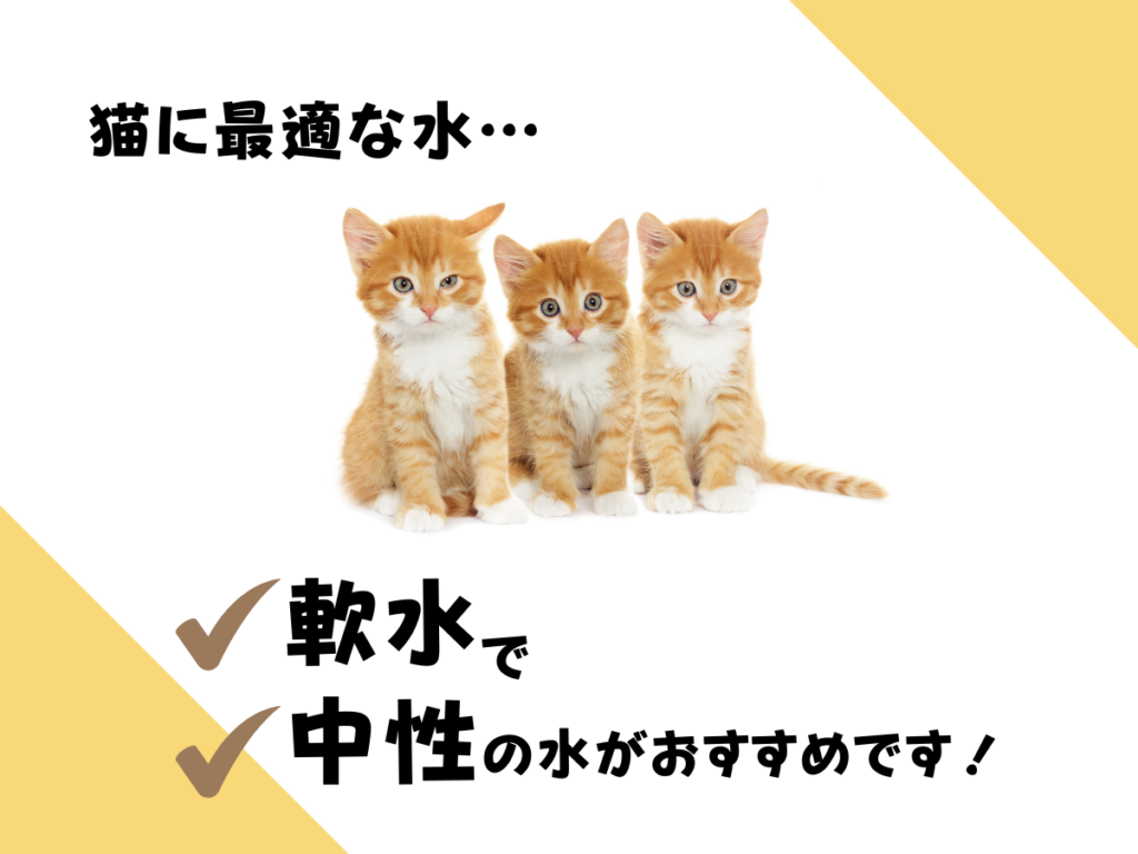 猫に最適な水