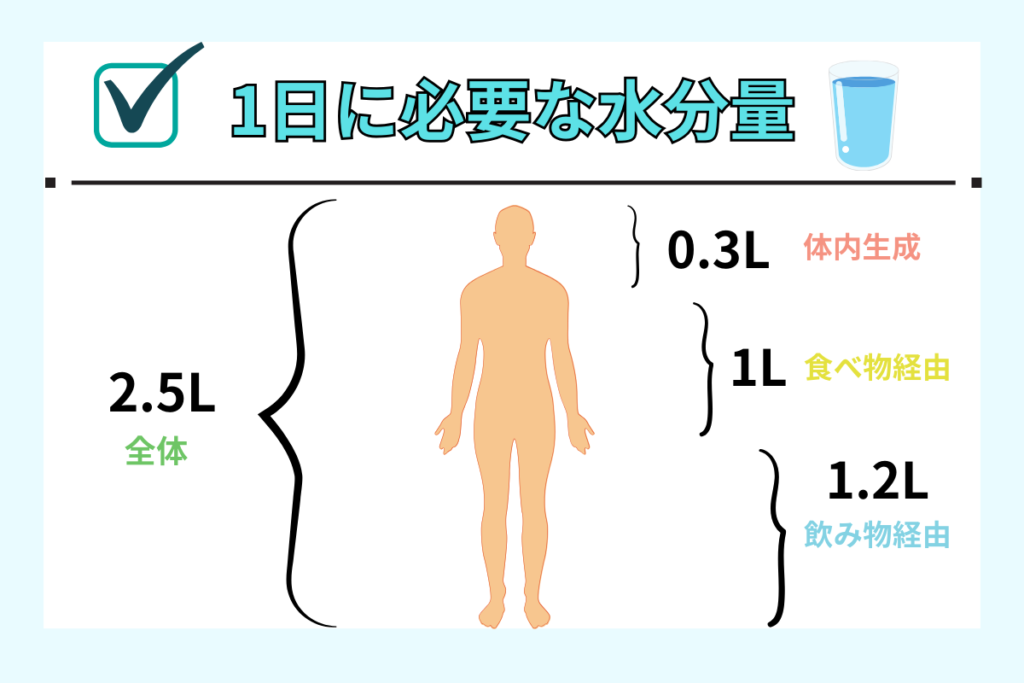 1日に必要な水分量