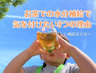 お茶での水分補給で気を付けたい3つの理由と正しい補給法