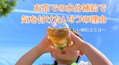 お茶での水分補給で気を付けたい3つの理由と正しい補給法