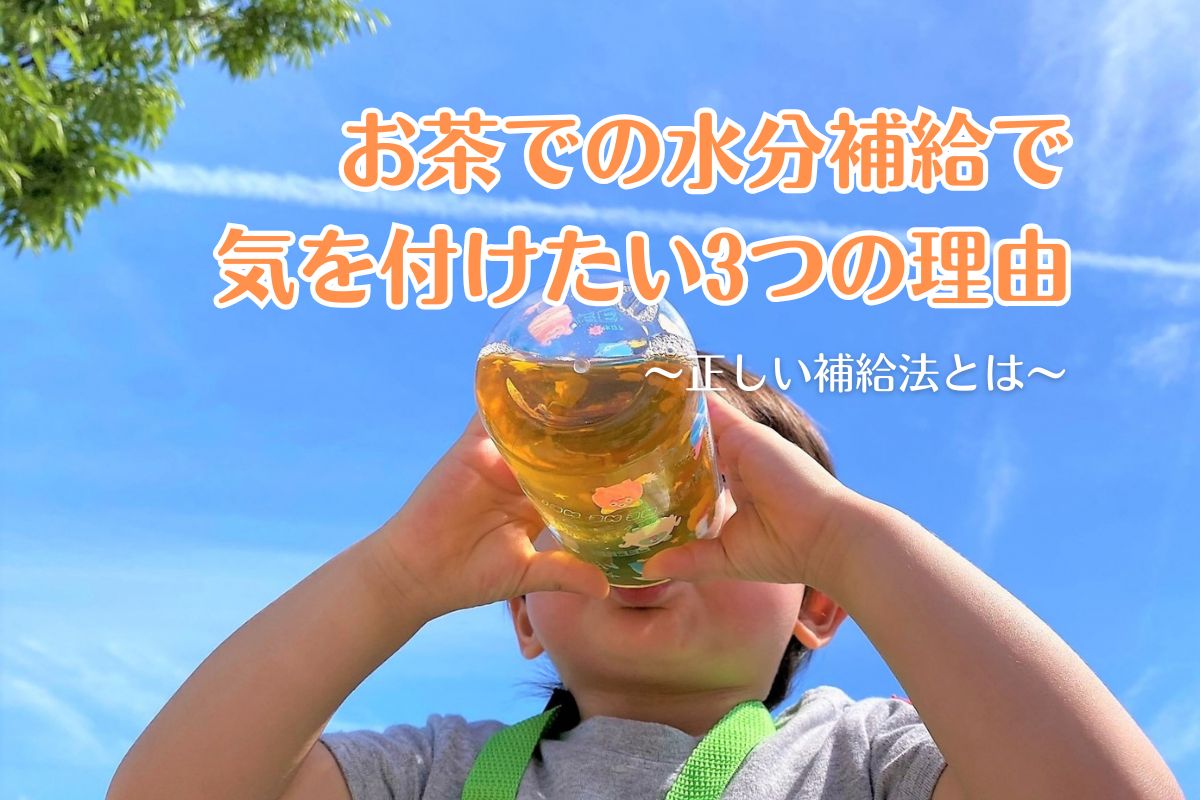 お茶での水分補給で気を付けたい3つの理由と正しい補給法