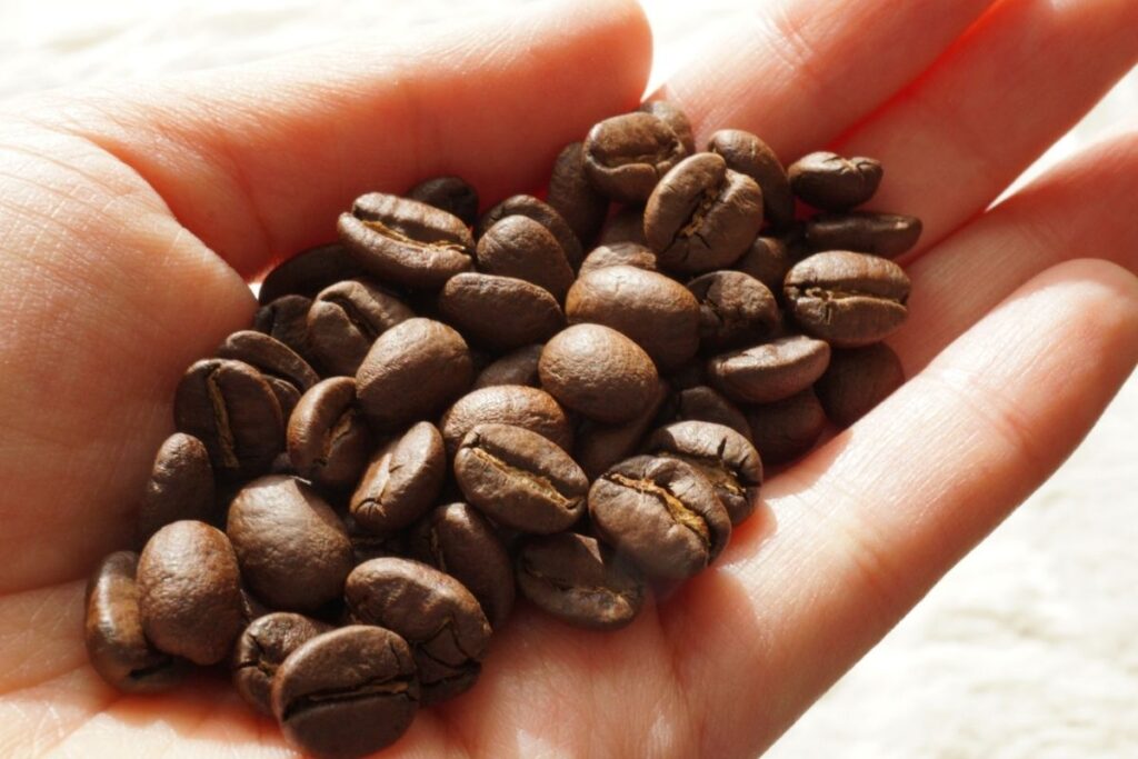 水がコーヒーの風味に与える影響とは？