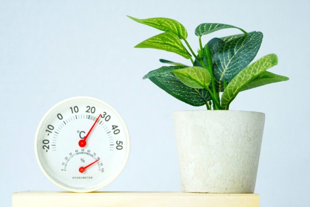 ゴキブリが好む環境とウォーターサーバーの共通点